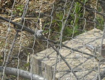 麻豆性爱视频网站